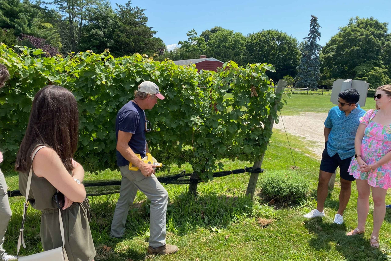 NYC: Long Island Sommelier-Guided Wine Tasting Tour