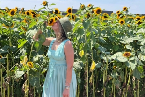 NYC: Long Island Sommelier-Guided Wine Tasting Tour