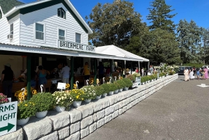 NYC: Long Island Sommelier-Guided Wine Tasting Tour