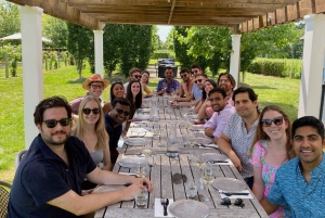 NYC: Long Island Sommelier-Guided Wine Tasting Tour