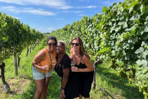 NYC: Long Island Sommelier-Guided Wine Tasting Tour