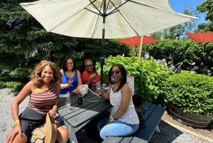 NYC: Long Island Sommelier-Guided Wine Tasting Tour