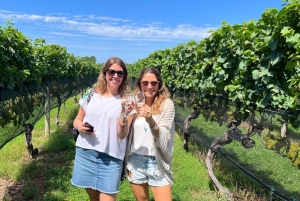 NYC: Long Island Sommelier-Guided Wine Tasting Tour