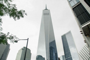 NYC: Wandeltour Iers erfgoed Lower Manhattan