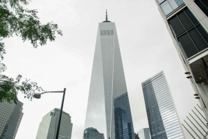 NOVA IORQUE: Excursão a pé pelo Património Irlandês de Lower Manhattan