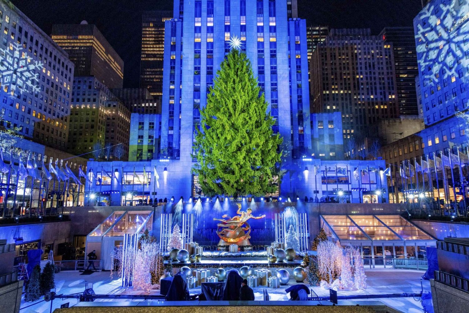 NYC: Magische rit met de kerstverlichting in een koets (tot 4 volwassenen)