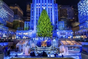 NYC : Promenade en calèche aux lumières magiques de Noël (jusqu'à 4 adultes)