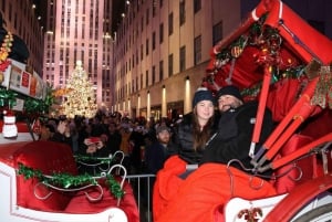 NYC: Passeio de carruagem com luzes de Natal mágicas (até 4 adultos)