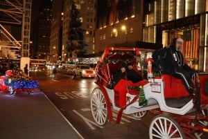 NYC: Passeio de carruagem com luzes de Natal mágicas (até 4 adultos)