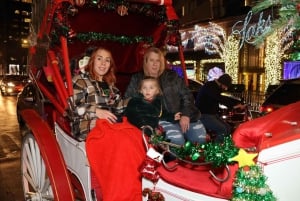 NYC: Magical Christmas Lights Carriage Ride (opptil 4 voksne)