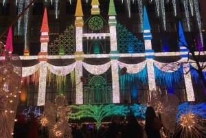 NYC : Promenade en calèche aux lumières magiques de Noël (jusqu'à 4 adultes)