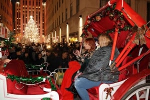 NYC: Passeio de carruagem com luzes de Natal mágicas (até 4 adultos)