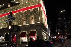 NYC : Promenade en calèche aux lumières magiques de Noël (jusqu'à 4 adultes)