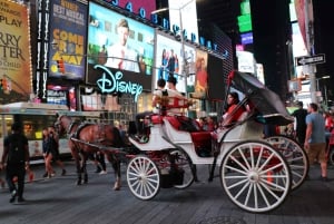 NYC: Passeio de carruagem com luzes de Natal mágicas (até 4 adultos)