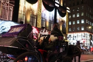 NYC: Magische rit met de kerstverlichting in een koets (tot 4 volwassenen)