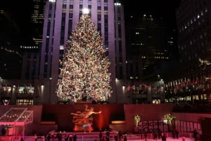 NYC: Passeio de carruagem com luzes de Natal mágicas (até 4 adultos)