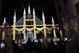 NYC: Passeio de carruagem com luzes de Natal mágicas (até 4 adultos)