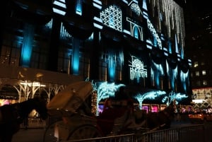 NYC: Passeio de carruagem com luzes de Natal mágicas (até 4 adultos)