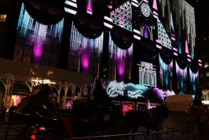 NYC: Passeio de carruagem com luzes de Natal mágicas (até 4 adultos)