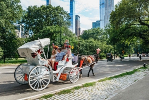 NYC TAIKAINEN YÖAJAN AJELU Central Park/Rockefeller Centerissä