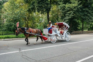 NYC TAIKAINEN YÖAJAN AJELU Central Park/Rockefeller Centerissä