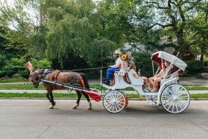 NYC TAIKAINEN YÖAJAN AJELU Central Park/Rockefeller Centerissä