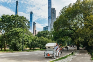 NYC TAIKAINEN YÖAJAN AJELU Central Park/Rockefeller Centerissä