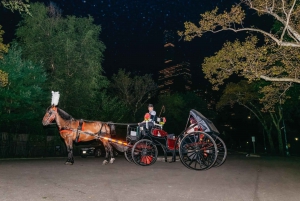 NYC MAGICAL NIGHT TIME RIDE Central Park/Rockefeller Center