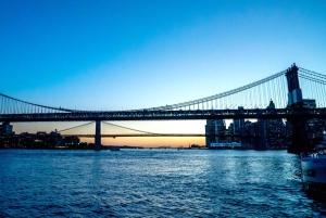Nueva York: crucero con cena y vistas del skyline de Manhattan
