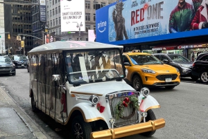 NYC: Wycieczka z przewodnikiem po centrum miasta w małej grupie
