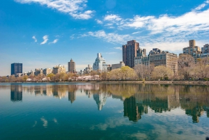 Nueva York: Lo más destacado del centro de Manhattan en minivan