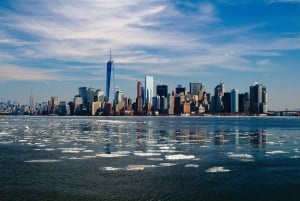 New York: Hoogtepunten van Midtown Manhattan Minivan Tour