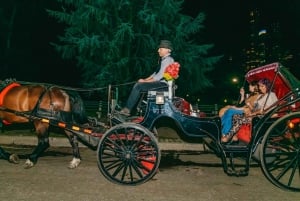 NYC MOONLIGHT HORSE CARRIAGE RIDE durch den Central Park