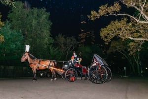 NYC MOONLIGHT HORSE CARRIAGE RIDE durch den Central Park