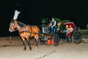 NYC MOONLIGHT HORSE CARRIAGE RIDE durch den Central Park