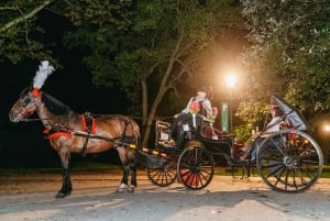 NYC MOONLIGHT HORSE CARRIAGE RIDE durch den Central Park