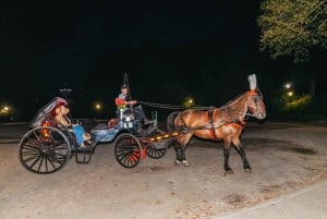 NYC MOONLIGHT HORSE CARRIAGE RIDE durch den Central Park