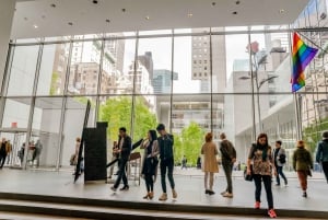 NYC: Inngangsbillett til Museum of Modern Art (MoMA)