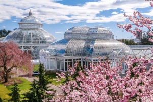 New York : pass pour le jardin botanique et Orchid Show