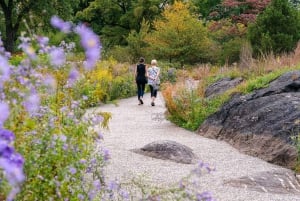 NYC: Inngangsbillett til New York Botanical All-Garden Pass