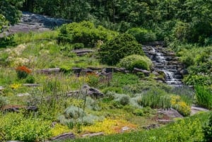 NYC: New York Botanical All-Garden Pass Eintritts-Ticket