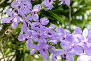 NYC: New York Botanical Garden Pass