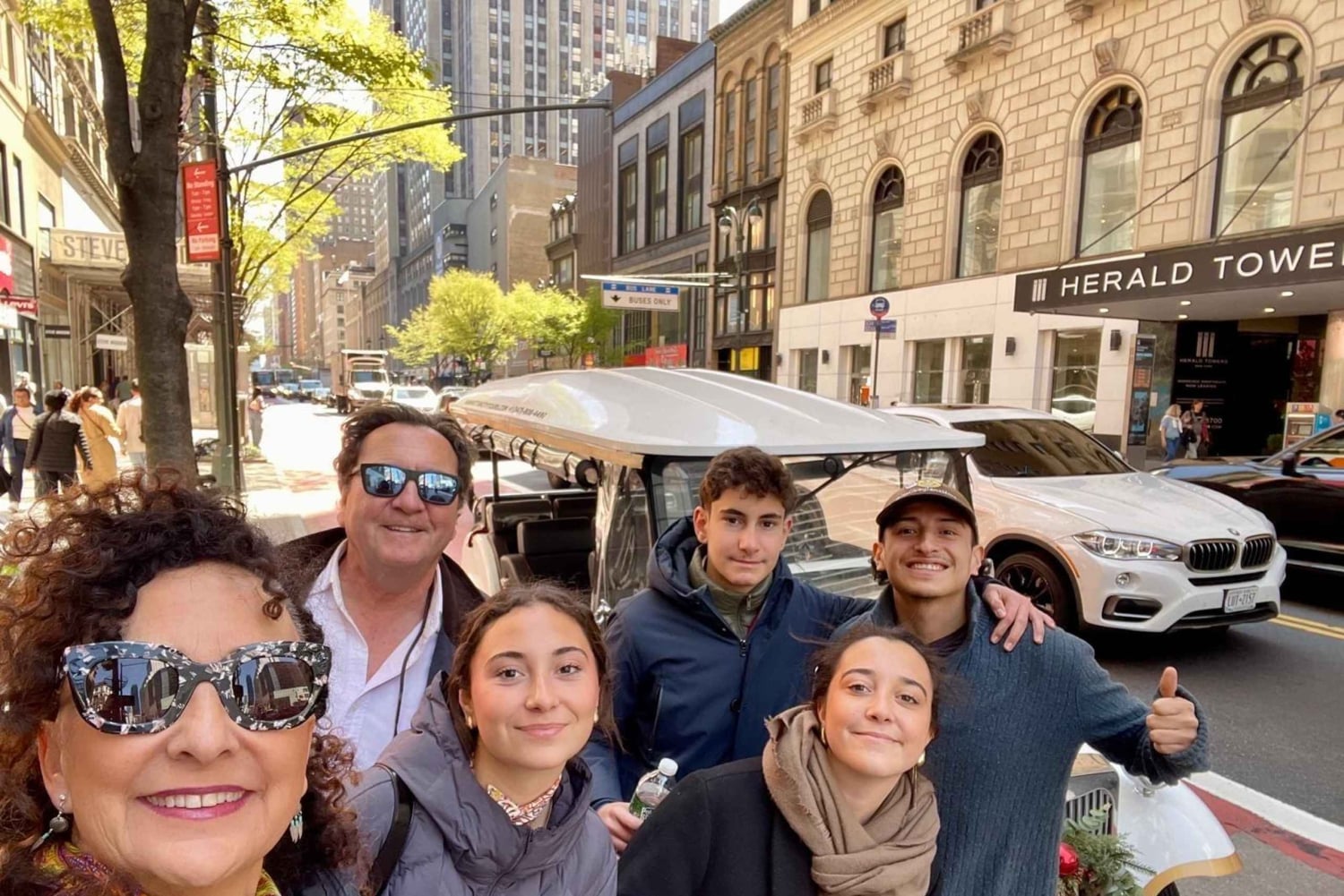 ニューヨーク市：クリスマスと名所を巡るガイド付き市内ツアー（快適なカートで）