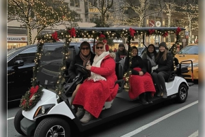 ニューヨーク市：クリスマスと名所を巡るガイド付き市内ツアー（快適なカートで）