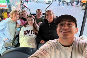 ニューヨーク市：クリスマスと名所を巡るガイド付き市内ツアー（快適なカートで）