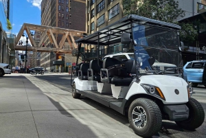 ニューヨーク市：クリスマスと名所を巡るガイド付き市内ツアー（快適なカートで）