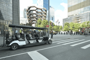 ニューヨーク市：クリスマスと名所を巡るガイド付き市内ツアー（快適なカートで）