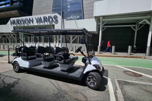 ニューヨーク市：クリスマスと名所を巡るガイド付き市内ツアー（快適なカートで）