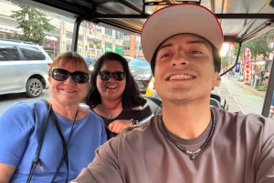 ニューヨーク市：クリスマスと名所を巡るガイド付き市内ツアー（快適なカートで）