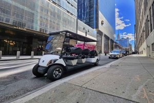 ニューヨーク市：クリスマスと名所を巡るガイド付き市内ツアー（快適なカートで）